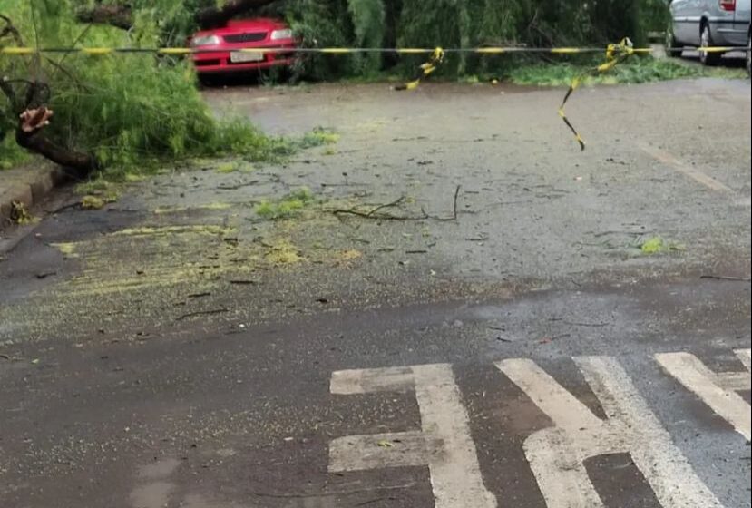  imagens mostram telhados sendo arrancados de casas durante temporal no Paraná
