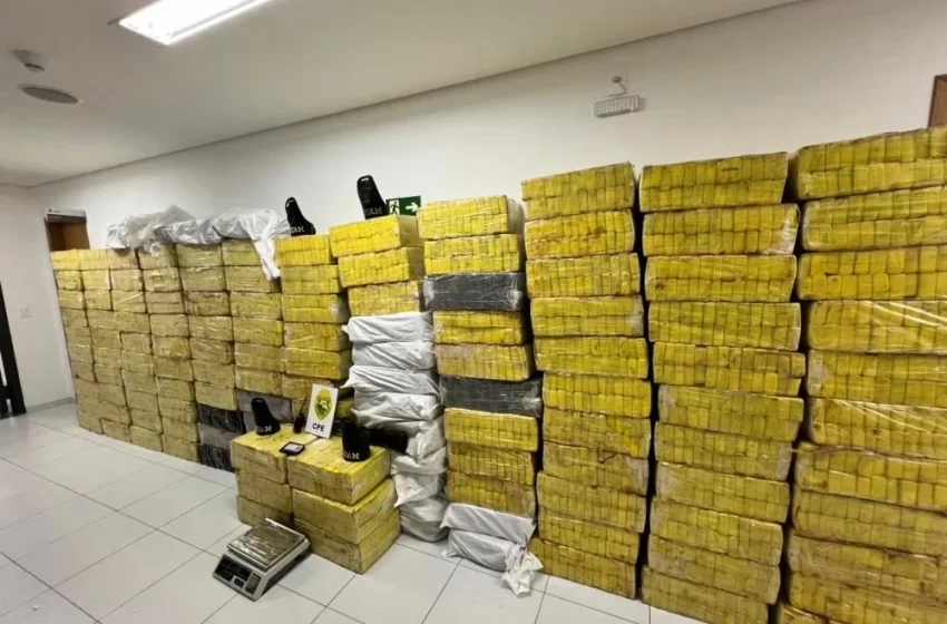  Polícia Militar do Paraná retira de circulação mais de 3 toneladas de maconha em uma chácara