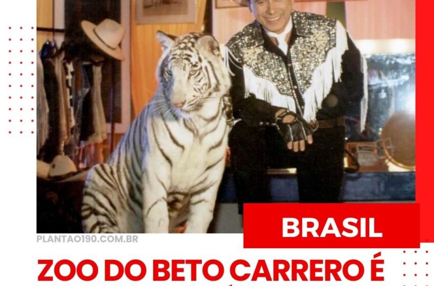 Zoo do Beto Carrero World fexado após 32 anos de atividades