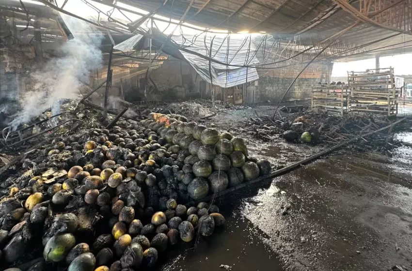  Veja fotos da Ceasa após incêndio que destruiu pavilhão em Curitiba