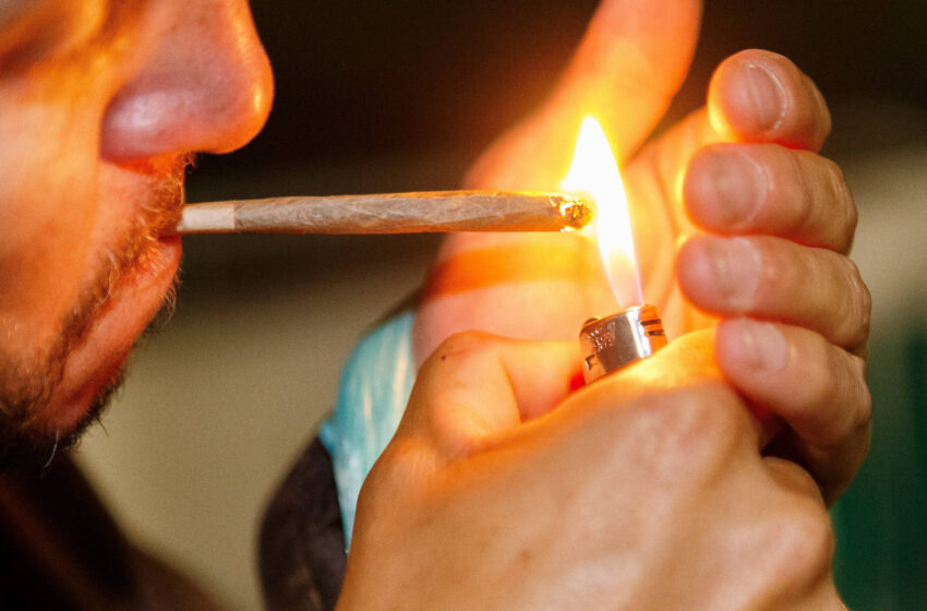  Curitiba pode aplicar nova multa para usuários de drogas: veja valor