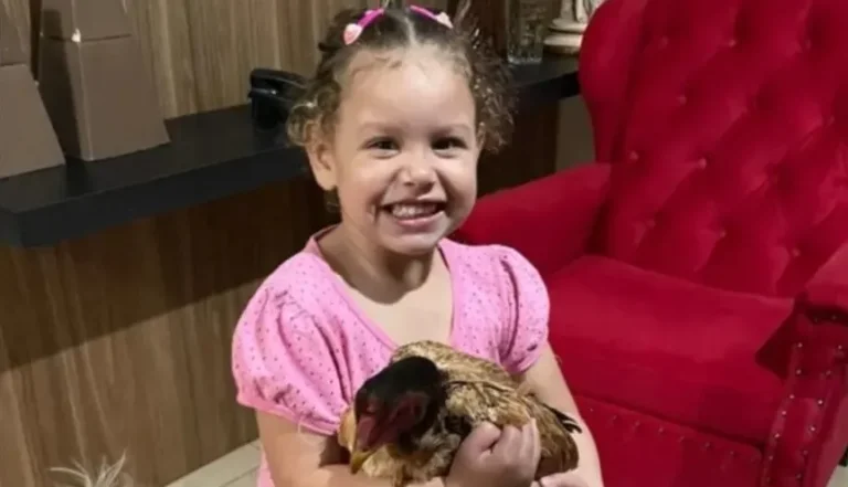  Menina de 4 anos morre por complicações da gripe H1N1 no Paraná