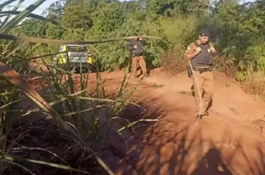  Corpo de jovem é encontrado decapitado em um milharal, no Paraná