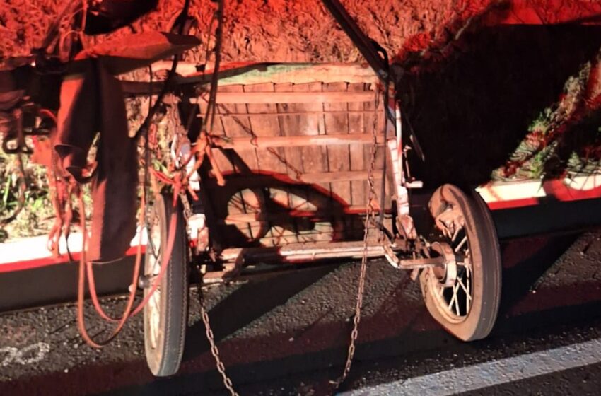  Idoso morre após charrete ser atingida por caminhão na BR-487, no PR