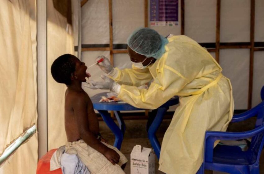  Mortes por Mpox, a varíola dos macacos, já chegam a 524