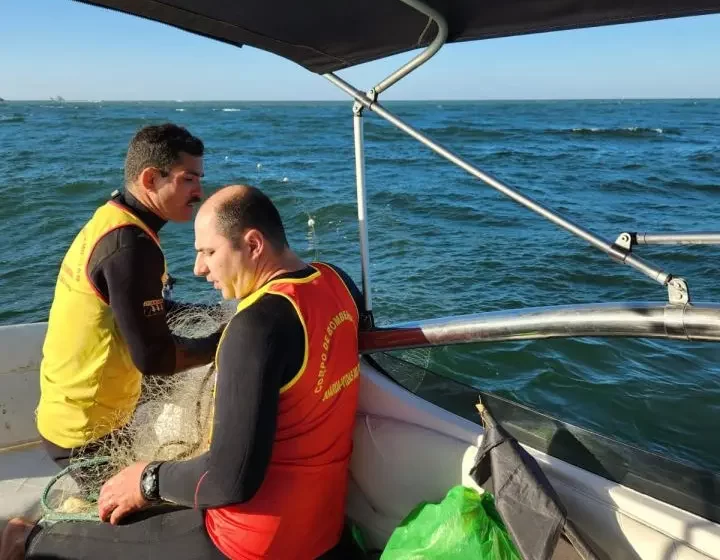  Baleia jubarte presa em rede de pesca é resgatada por bombeiros de Santa Catarina