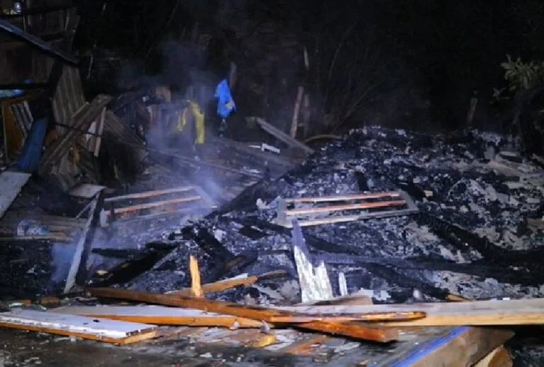  Cachorro morre carbonizado após incêndio em casa no Paraná