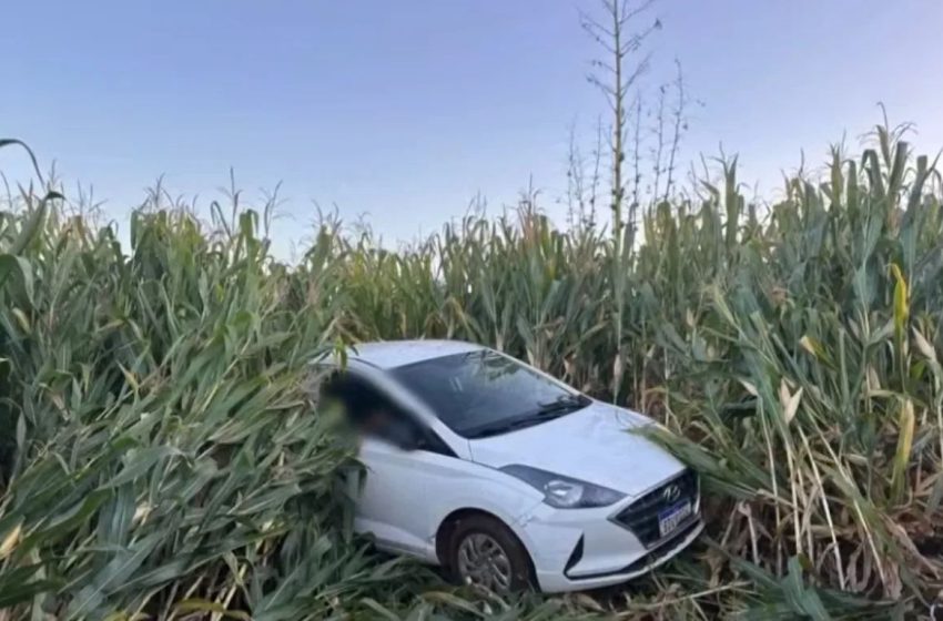  Idosa morre atropelada pelo marido e é arrastada até milharal no Paraná