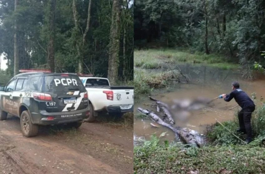  Irmãos são presos por homicídio e ocultação de cadáver no Sudoeste do Paraná