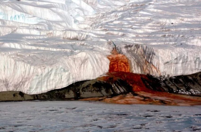  Cientistas encontram sinais de vida marinha antiga sob o gelo das Cataratas de Sangue, na Antártida