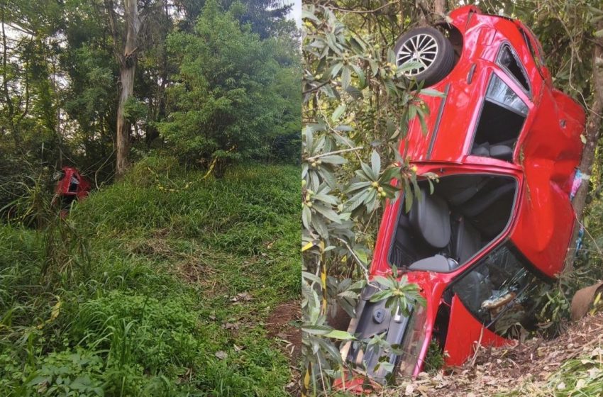  Criança de 7 anos morre após carro sair da pista e bater contra árvores na PR-493