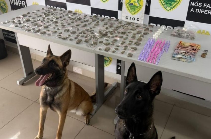  Mulher tenta fugir de abordagem da PM e é presa com drogas no Cajuru, em Curitiba