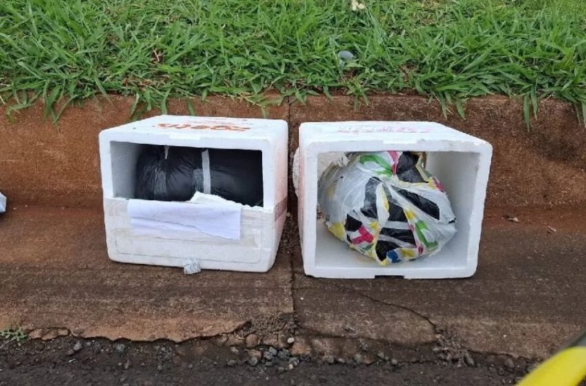  Caixas com forte odor e identificação de “Crematório” mobilizam equipes na PR-445